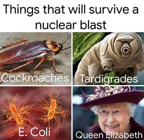Queen Elizabeth happy old meme