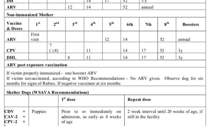 VaccineInjection-schedule-for-dogs-in-Sri-Lanka